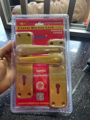 Gold Door Lock (Fly Globe) Keyed - thumbnail 2