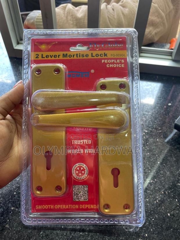 Gold Door Lock (Fly Globe) Keyed - main view