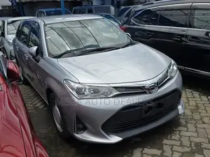 Toyota Corolla Fielder 2018 Silver