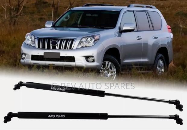 Prado J120 Bonnet Shocks. - main view