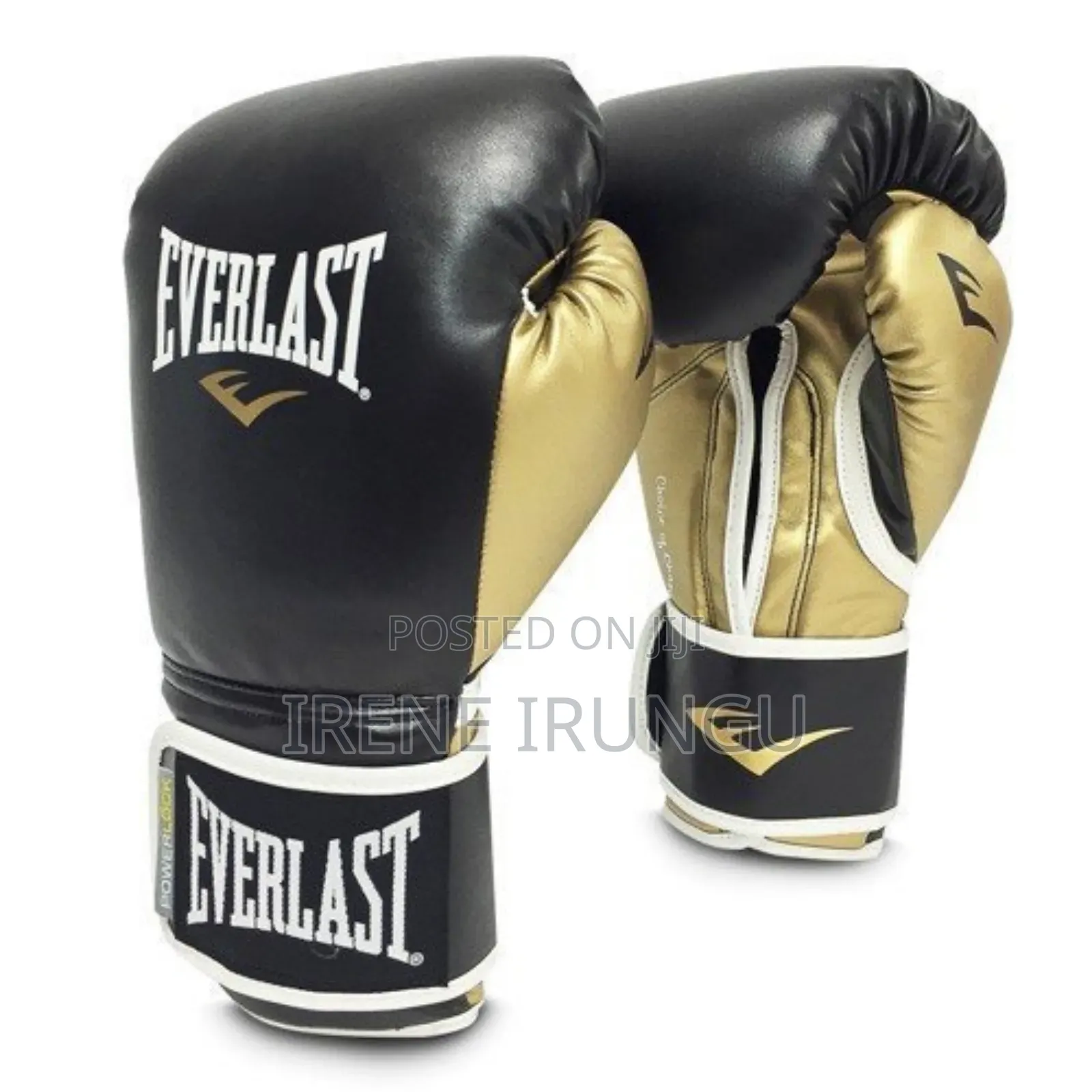10oz Everlast Punching Gloves