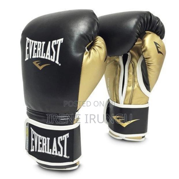 10oz Everlast Punching Gloves - main view