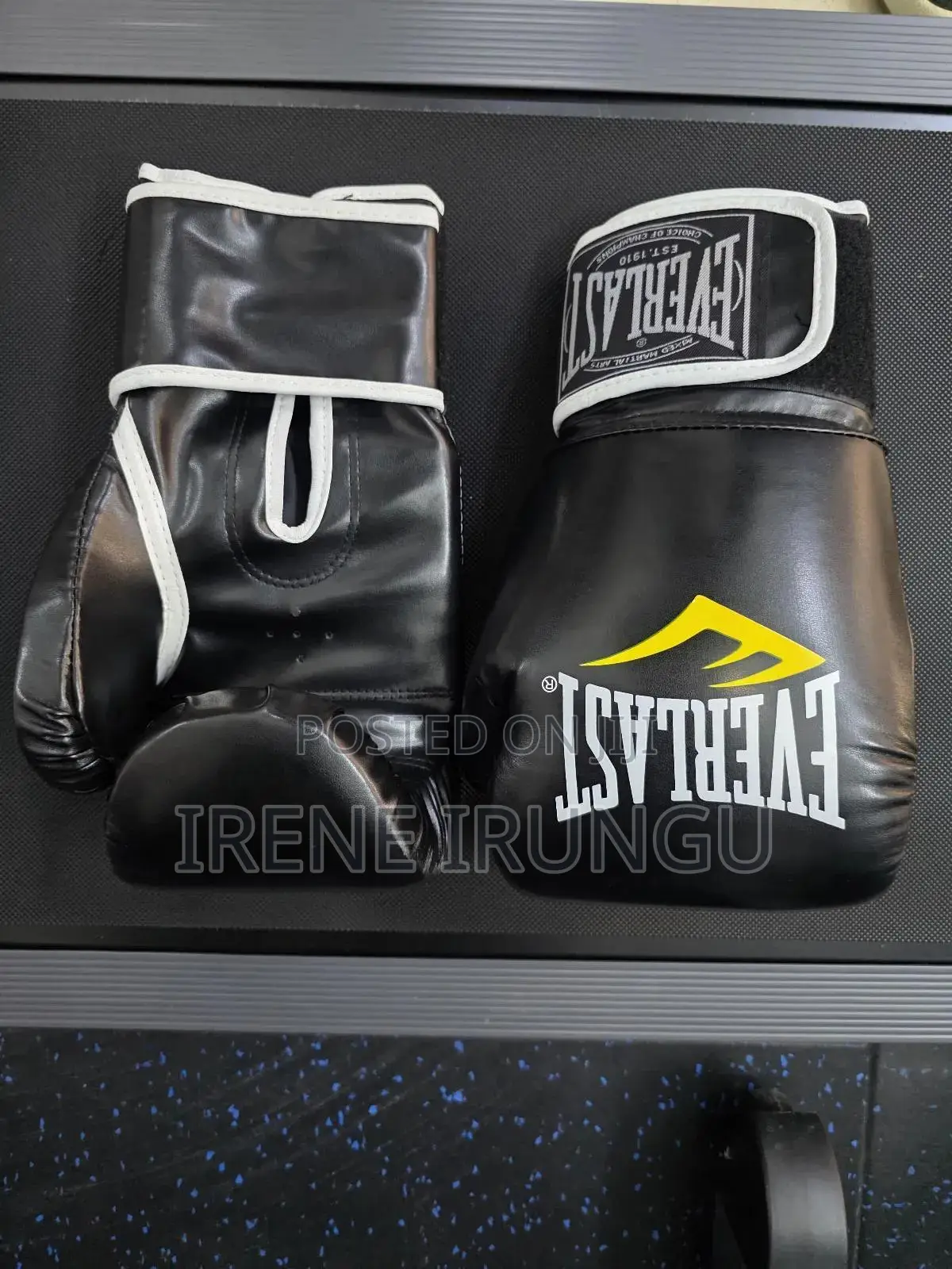 Everlast Boxing Gloves