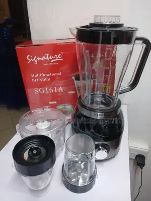 Sg161a 4-in-1 Multifunctional Blender, Signature