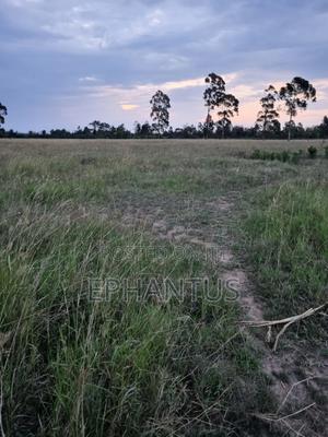 3.2 Acres Narumoru at Per Acre - thumbnail 2