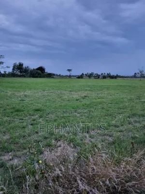 3.2 Acres Narumoru at Per Acre