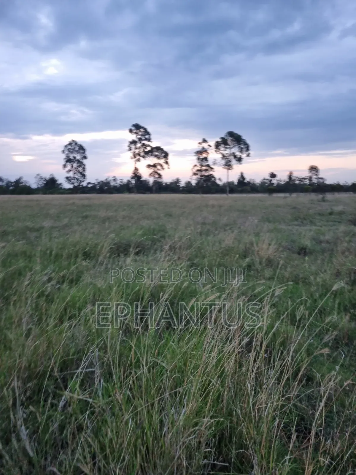 3.2 Acres Narumoru at Per Acre