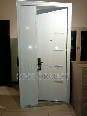 Single White Snow Door