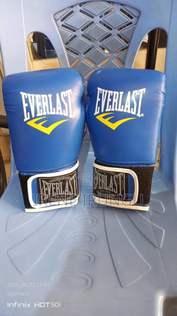 Training Boxing/Punching Gloves