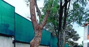 Privacy Netting Screen/Shade/Security Net - main view