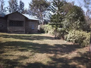 1/2 Acre Matasia