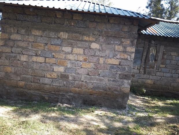 1/2 Acre Matasia - thumbnail 3