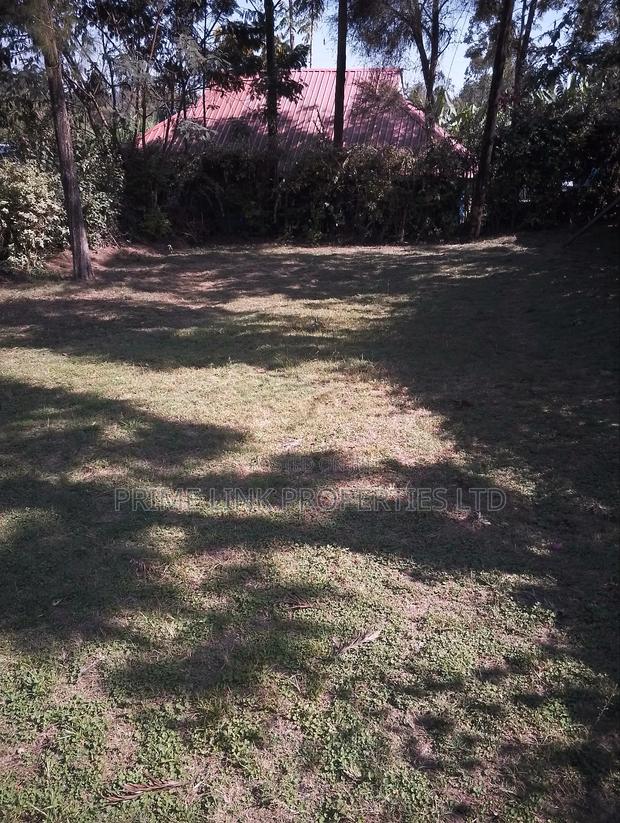 1/2 Acre Matasia - thumbnail 4