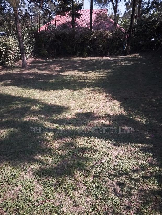 1/2 Acre Matasia - thumbnail 5