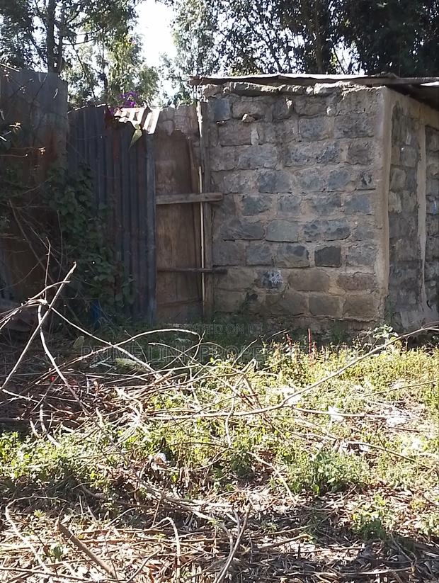 1/2 Acre Matasia - thumbnail 6