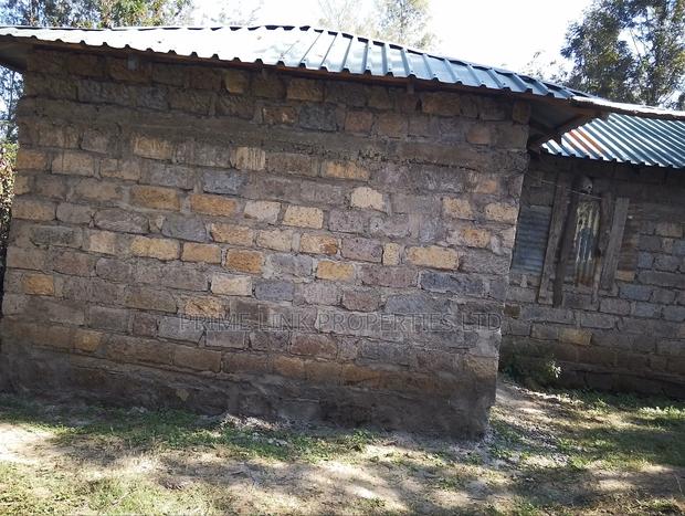 1/2 Acre Matasia - thumbnail 7