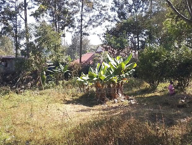 1/2 Acre Matasia - thumbnail 8