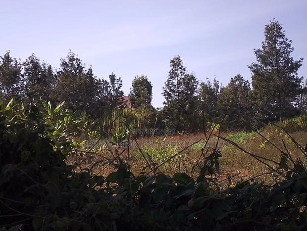 1/2 Acre Matasia - thumbnail 9