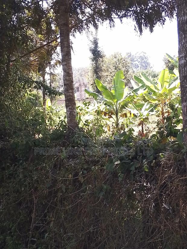 1/2 Acre Matasia - thumbnail 11