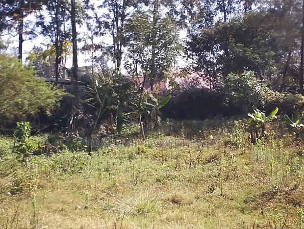 1/2 Acre Matasia - thumbnail 12