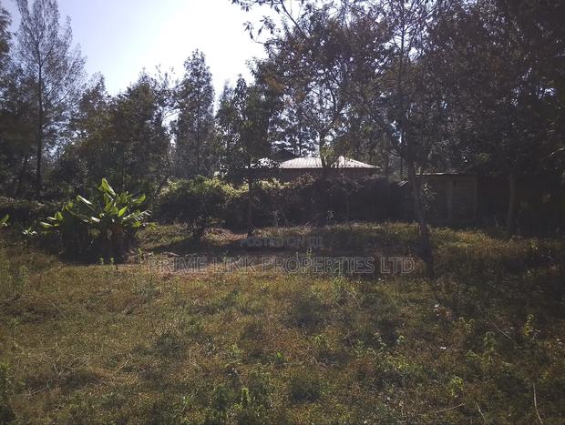 1/2 Acre Matasia - thumbnail 13