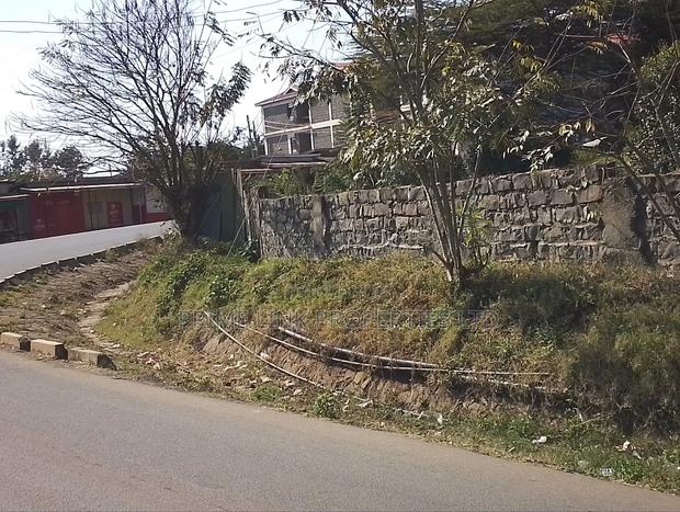 Ngong Olkeri Prime 1/8 Plot - main view