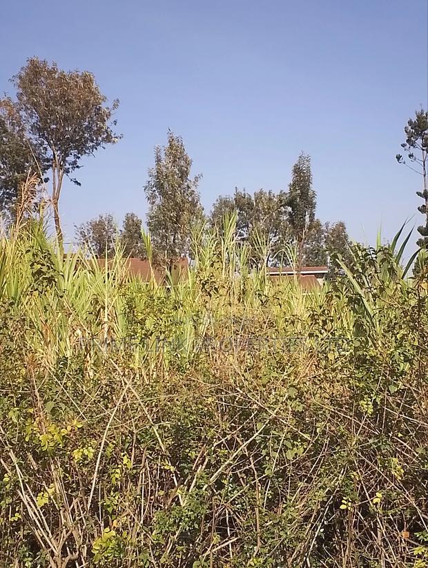 Ngong Olkeri Prime 1/8 Plot - thumbnail 7