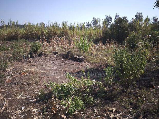 Ngong Olkeri Prime 1/8 Plot - thumbnail 8