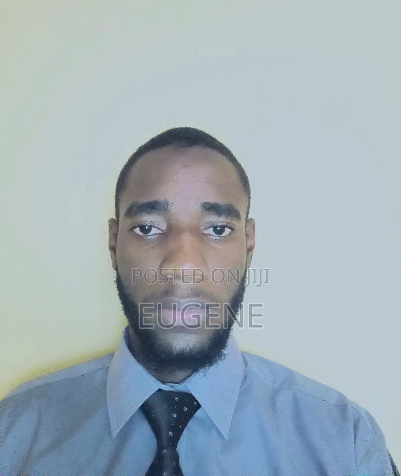 Adaptable Diploma Graduate | Technical Digital Solutions Enthusiast