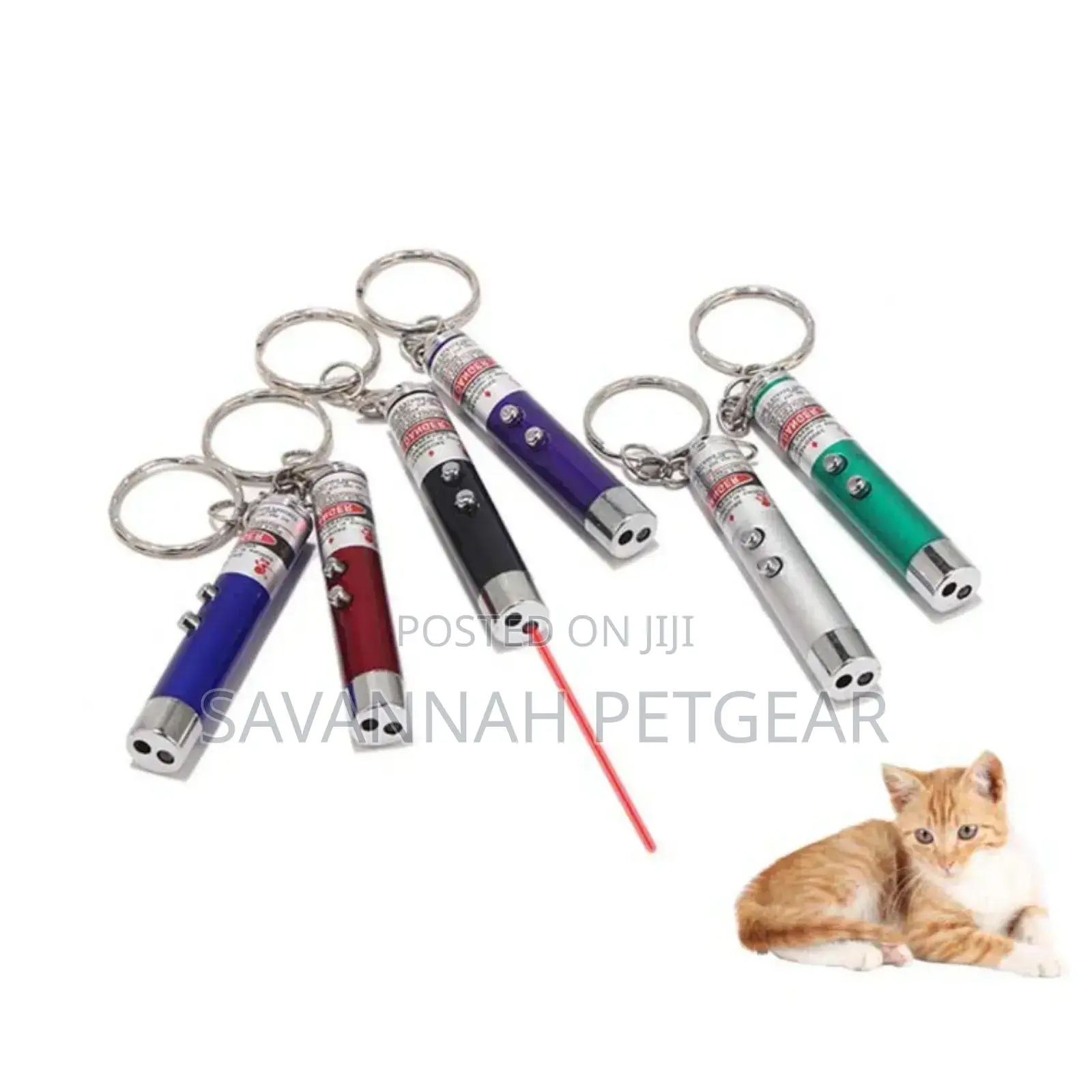 Laser Funny Cat 2 in 1 Red Laser Pointer Pen With White Led Light Toy