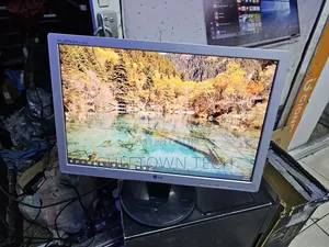 Lg 19inch Wide Monitor