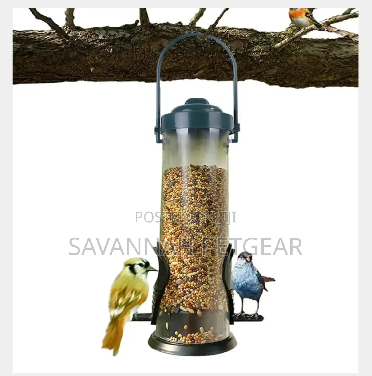 Plastic Bowl Hanging Wild Bird Feeder/Dispenser for Garden/Balcony