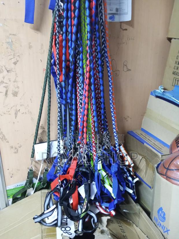 Dog Harnesses With Leash - main view