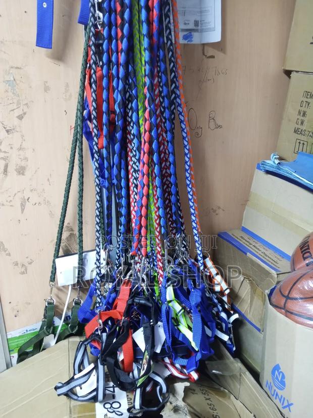 Dog Leash Dog Leash - main view