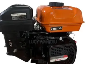 Quality Premier Petrol Engine 172f