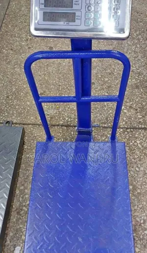 Digital Platform Scale 300kg/Accurate Durable Machine
