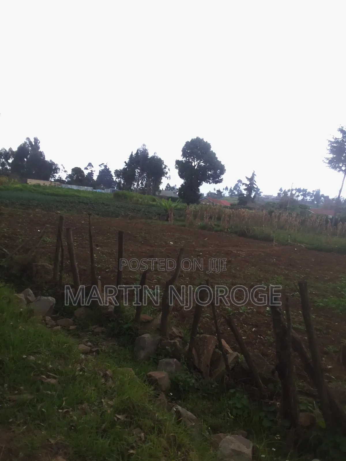 50 by 100 Gitithia, Uplands