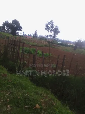 50 by 100 Gitithia, Uplands