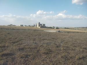 Serviced 50x100 Plots in Kitengela - thumbnail 2