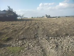 Serviced 50x100 Plots in Kitengela