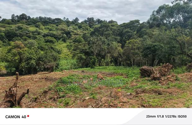 Half Acre for Sale in Karen