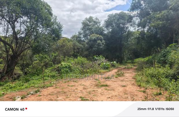 Half Acre for Sale in Karen - thumbnail 2