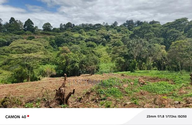 Half Acre for Sale in Karen - thumbnail 4