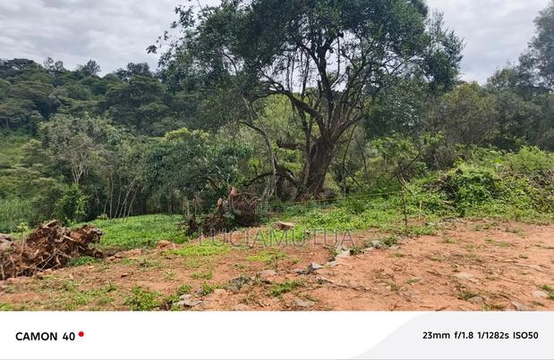 Half Acre for Sale in Karen - thumbnail 5