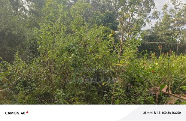 1/4 Plot for Sale in Ngong Juanco - thumbnail 3