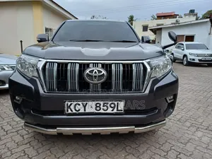 Toyota Land Cruiser Prado 2013 Gray