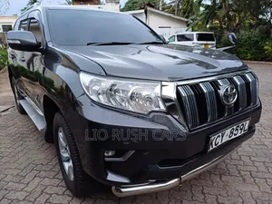 Toyota Land Cruiser Prado 2013 Gray