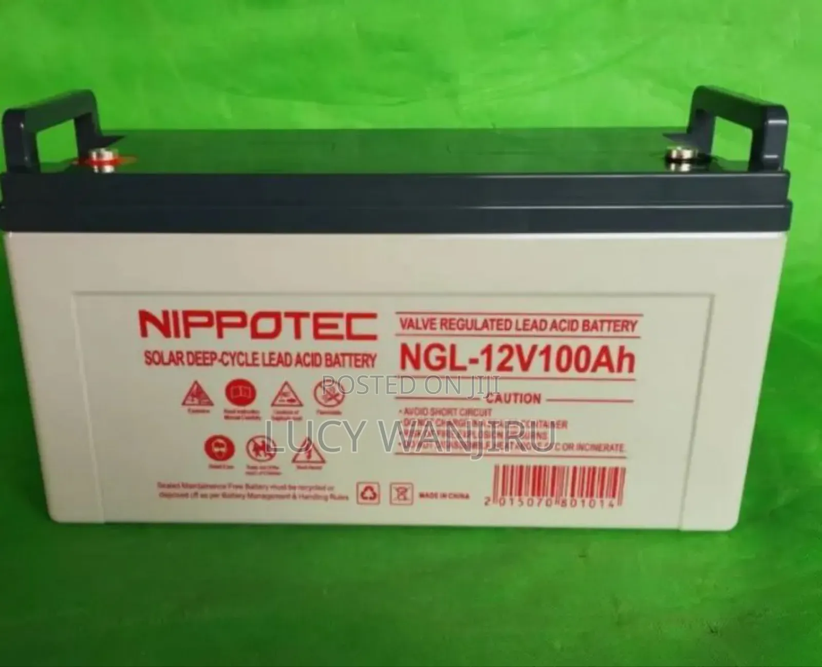100ah Nippotec Deep Cycle Battery