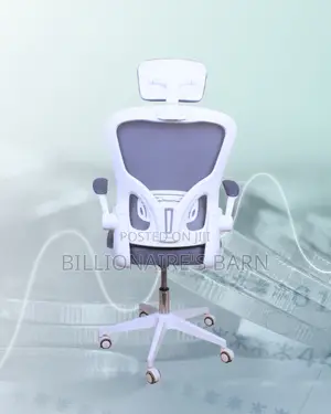 White Ergonomic Office Chair | Adjustable Lumbar Support