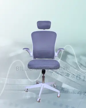 White Ergonomic Office Chair | Adjustable Lumbar Support